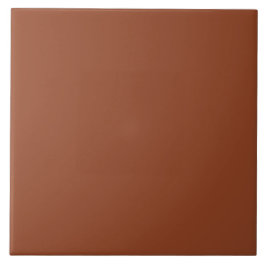 Solid Color_Terra Cotta Fliese