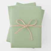 Solid Jade Green Celadon Geschenkpapier Set (Beispiel)