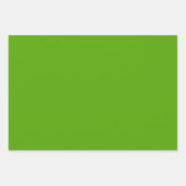 Solid Jolly Green Geschenkpapier Set (Vorderseite)