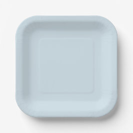 Solid Light Blue Disposable Plates for First Rodeo Pappteller