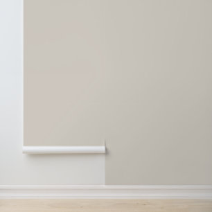 Solid Light Taupe Schlicht einfache neutrale Grund Tapete