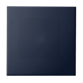 Solid Midnight Blue | #121d34 Fliese