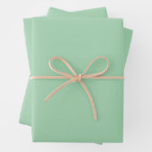 Solid Mint Green Geschenkpapier Set (Beispiel)