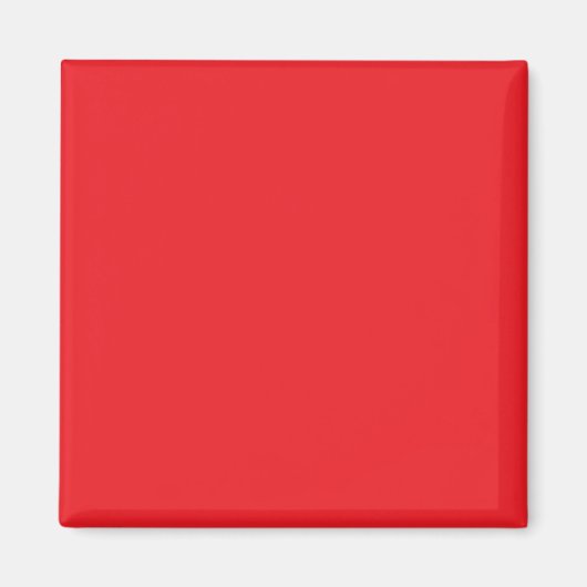 Solid Red Background  Magnet (Vorne)