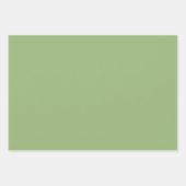 Solid schlichte Salbei grün Geschenkpapier Set (Vorderseite)