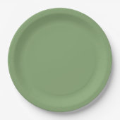Solid Soft Green Pappteller (Vorderseite)