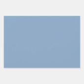 Solide Farbe schlicht staubblaue Pastellfarbe Geschenkpapier Set (Vorderseite)