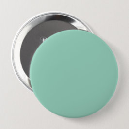 Solider mintgrüner Hintergrund Button