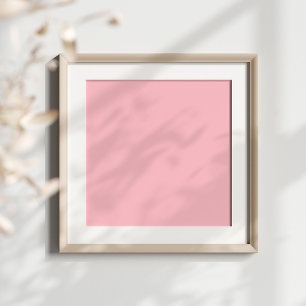 Solides rosa Leinwand Poster