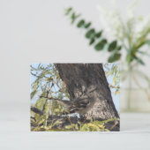 Solitaire-Postkarte von Townsend Postkarte (Stehend Vorderseite)