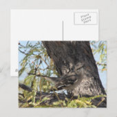 Solitaire-Postkarte von Townsend Postkarte (Vorne/Hinten)