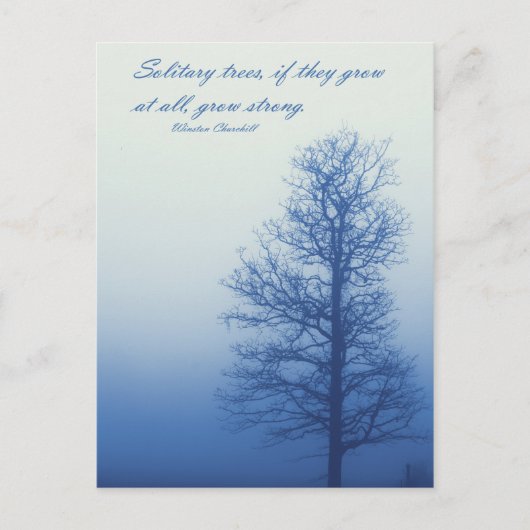 Solitäre Bäume werden stark - Postkarte (Vorderseite)