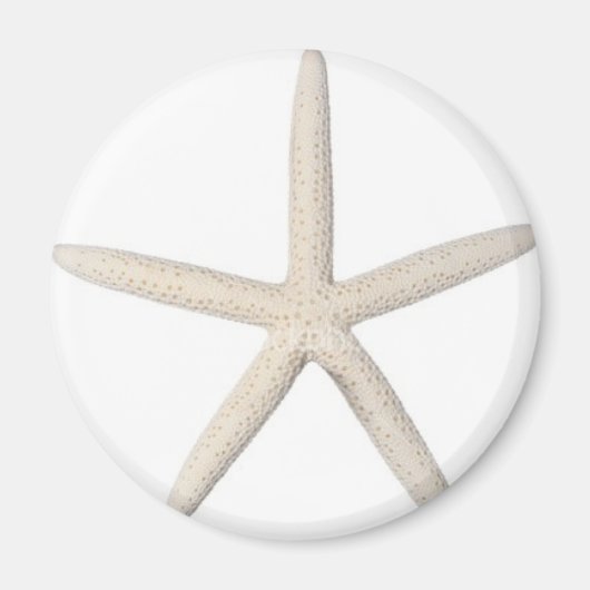 Solitärfisch Magnet (Vorne)