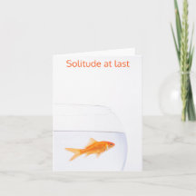 Solitarier Goldfisch