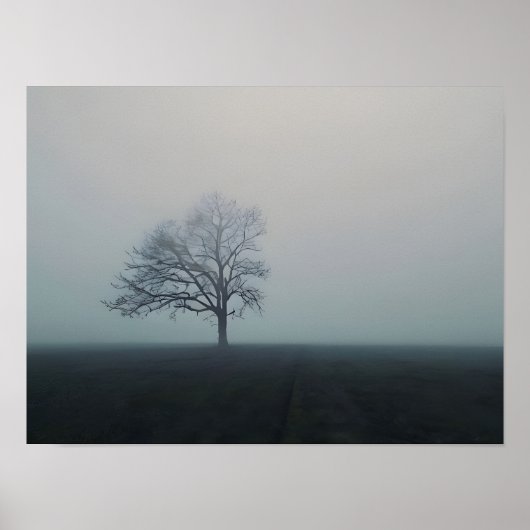 Solitärs-Soul im Nebel Poster (Vorne)