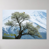 Solitary Blossoming Tree and Snowy Mountains Poster (Vorne)