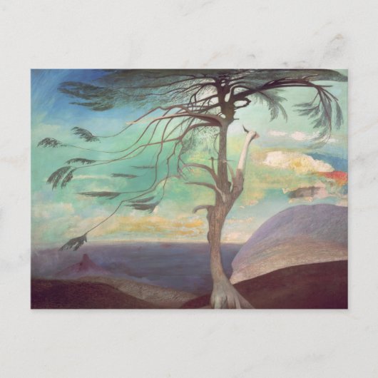 Solitary Cedar, 1907 Postkarte (Vorderseite)