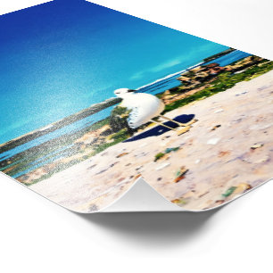 Solitary Gull Fotodruck