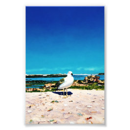 Solitary Gull Fotodruck