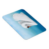 Solitary Mute Swan Premium Magnet (Rechte Seite)