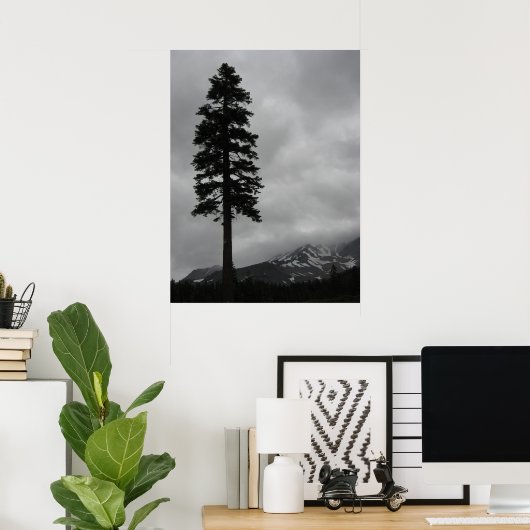Solitary Pine - Poster (Heimbüro)