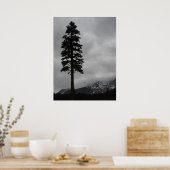 Solitary Pine - Poster (Küche)