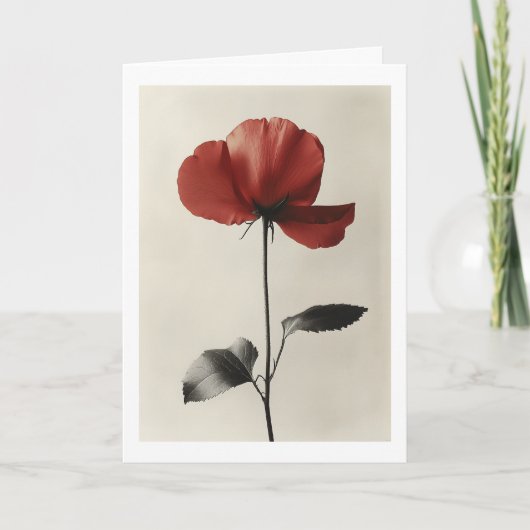 Solitary Red Blume Einladung (Vorderseite)