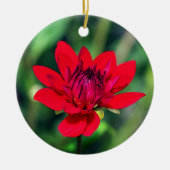 Solitary Red Dahlia Blume Wisley Motivierend Keramik Ornament (Vorne)