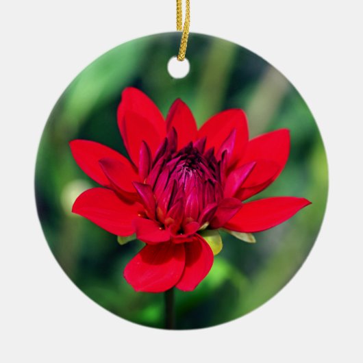 Solitary Red Dahlia Blume Wisley Motivierend Keramik Ornament (Vorne)