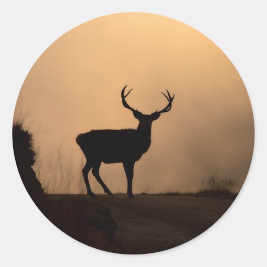 Solitary Red Stag Stickers (Vorderseite)