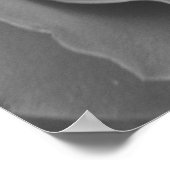 Solitary Rose Poster (Ecke)