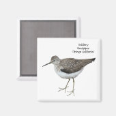 Solitary Sandpiper Magnet (Vorderseite/Rückseite)