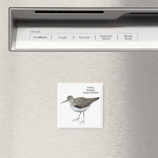 Solitary Sandpiper Magnet (In Situ (Geschirrspüler))