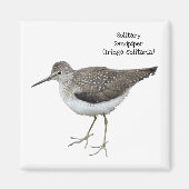 Solitary Sandpiper Magnet (Vorne)