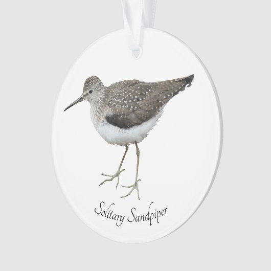 Solitary Sandpiper Ornament (Vorderseite)