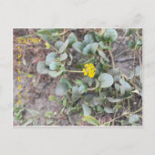 SOLITARY SEPTEMBER POSTKARTE (Vorderseite)