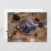 Solitary Sole Postcard Postkarte (Vorne/Hinten)