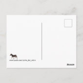 Solitary Sole Postcard Postkarte (Rückseite)