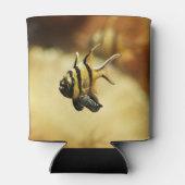 Solitary Stripion Angelfish Dosenkühler (Rückseite)