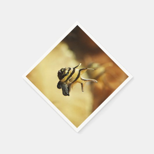 Solitary Stripion Angelfish Serviette (Ecke)