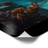 Solitary Swimming Hai Poster (Ecke)