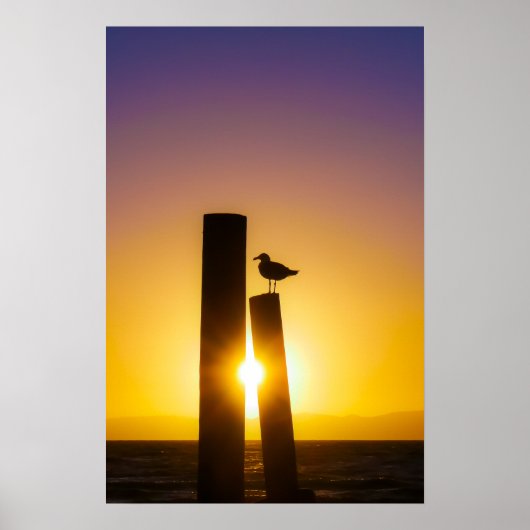 Solitude at Dusk Poster (Vorne)