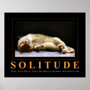 SOLITUDE Cat Fotografy Anti-Motivierend Poster