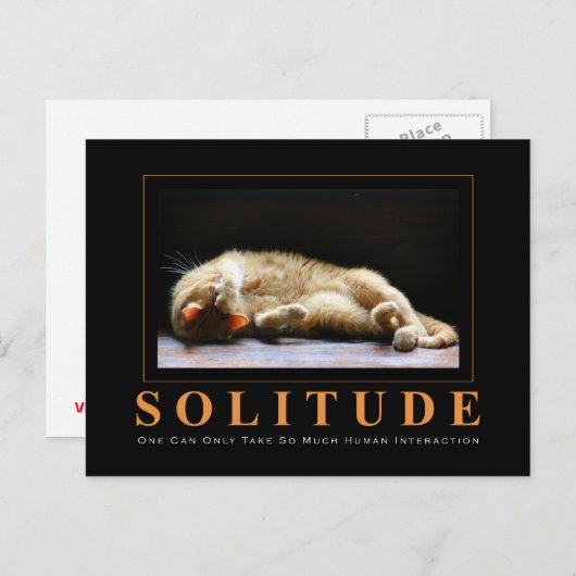 SOLITUDE Cat Fotografy Anti-Motivierend Postkarte (Vorne/Hinten)