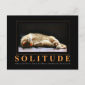 SOLITUDE Cat Fotografy Anti-Motivierend Postkarte (Vorderseite)