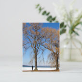 Solitude - Cayuga Lake Postkarte (Stehend Vorderseite)