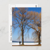 Solitude - Cayuga Lake Postkarte (Vorne/Hinten)