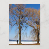 Solitude - Cayuga Lake Postkarte (Vorderseite)