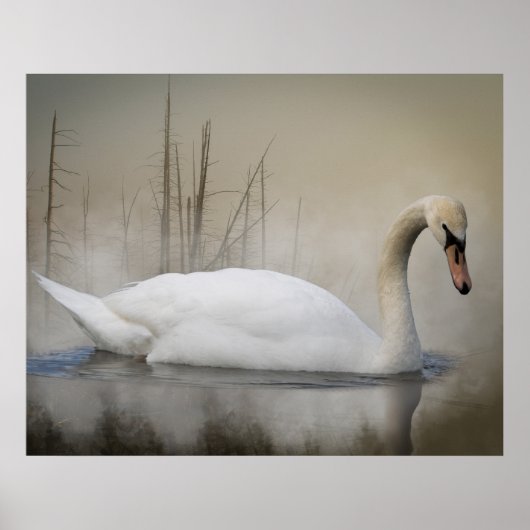 Solitude Poster (Vorne)