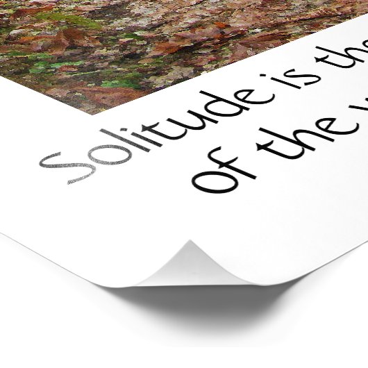 Solitude Zitat Bäume Redwoods Wanderweg Poster (Ecke)